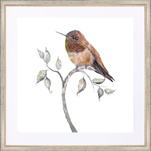 CD- HUMMINGBIRD 12